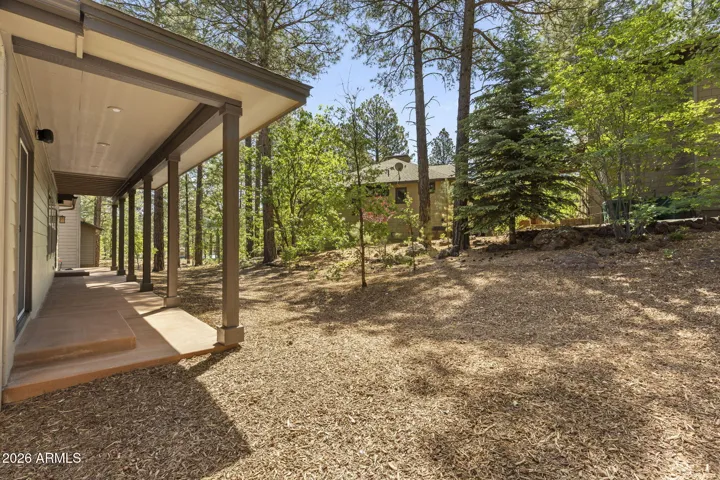 Refreshed backyard within the pines.
