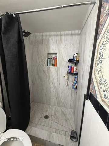 Master Bathroom Shower