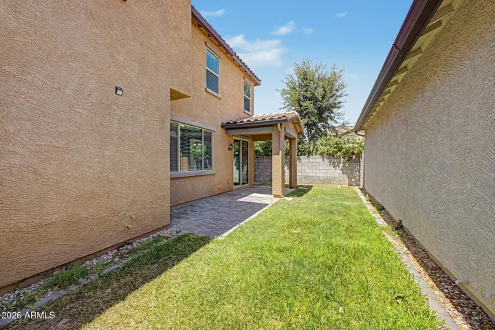Low Maintenance Backyard