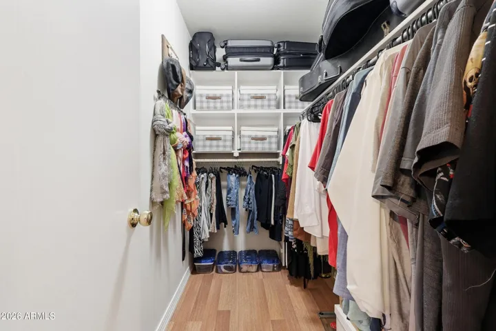 Walk in the primary closet with storage!