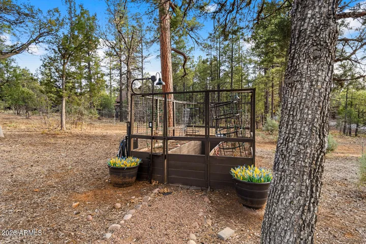 Fenced garden in back