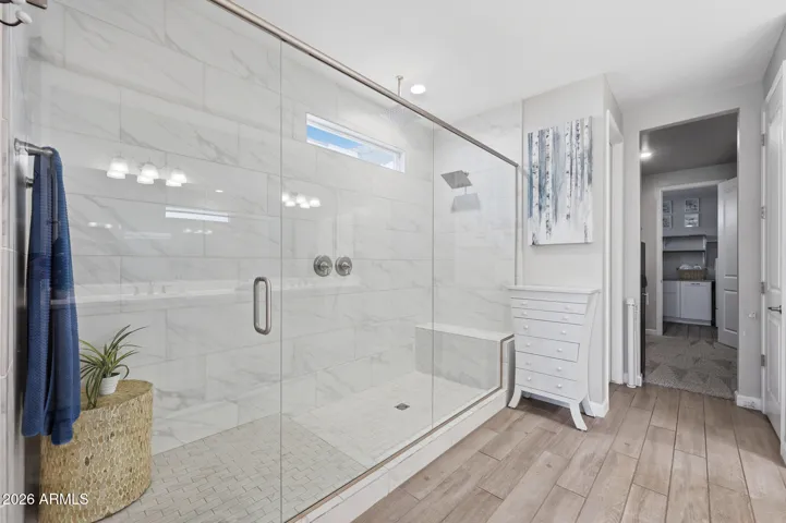 Primary Shower