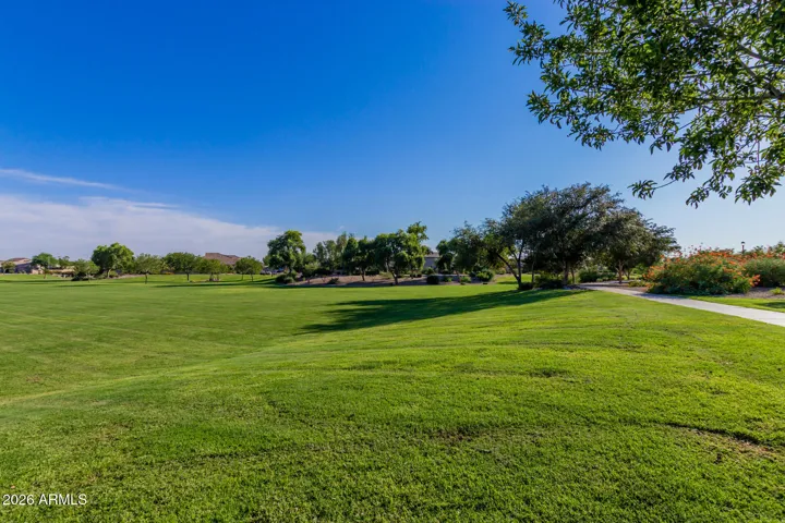 Large community park