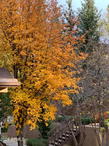 Front Yard Fall Colors Whispering Pines Way