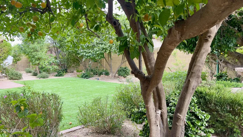 BACKYARD WITH STORYBOOK SETTING
