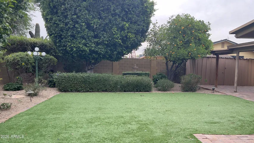 BACKYARD WITH STORYBOOK SETTING