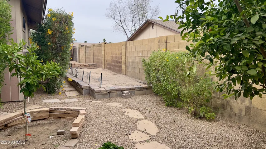 RAISED GARDEN BED READY TO PRODUCE LOTS OF VEGETABLES