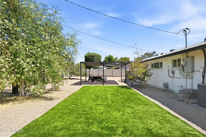 Backyard