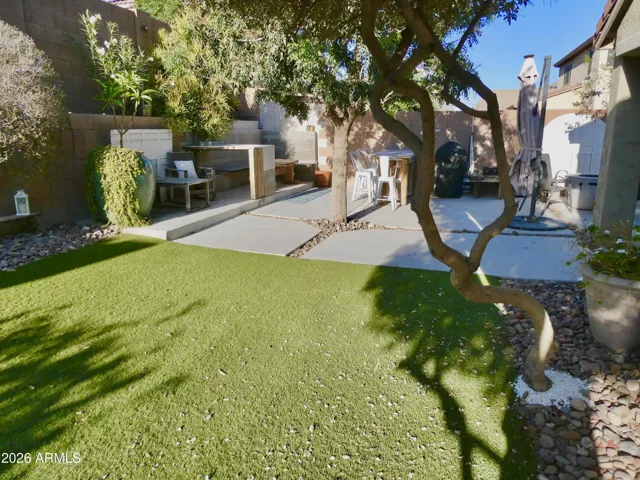 back yard