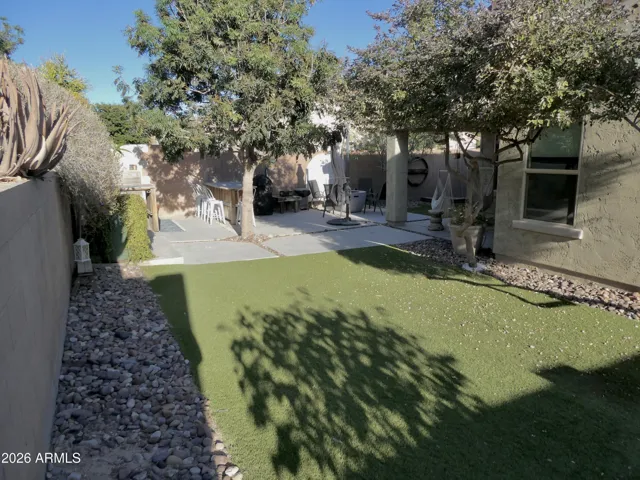 back yard