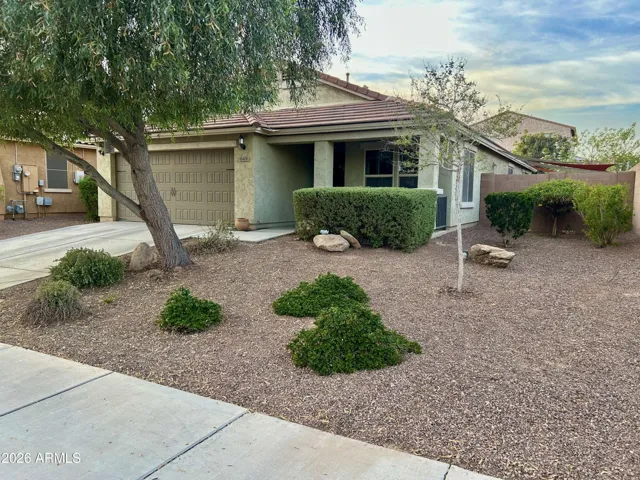 right front yard