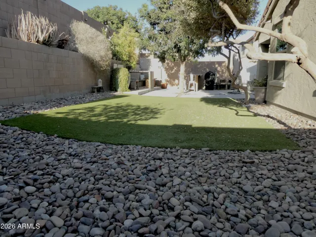 back yard