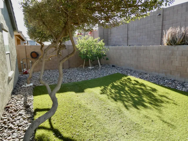 back yard