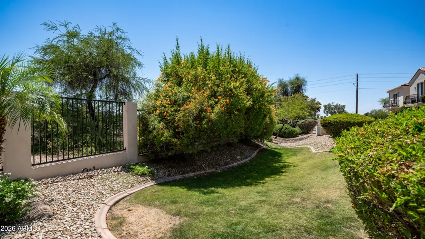 Grassy patch