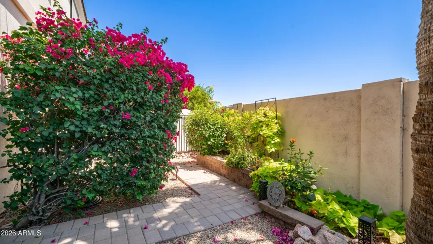 Back patio