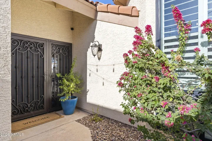 Custom Security Door