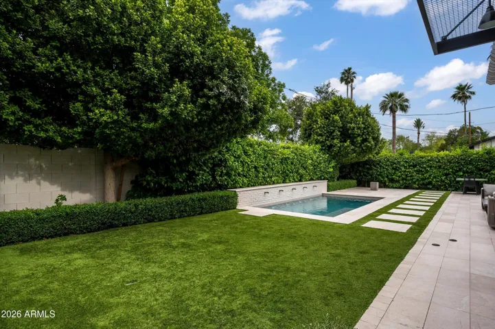 Lush Backyard