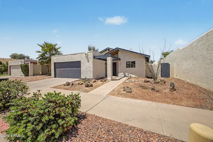 Features, AZ Native Ocotillo, Barrel & Saguaro Cactus - meets HOA guidelines.