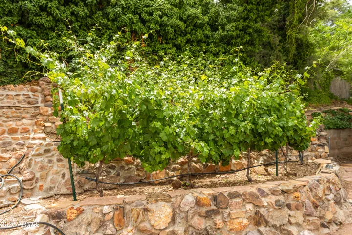 This custom stone vineyard is even more amazing in person!
