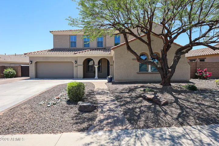 MATURE TREE & EASY CARE FRONT YARD
