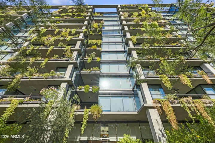 Green scaped patios help reduce heat