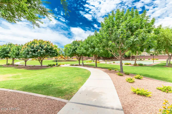 Beautiful Walking Paths!