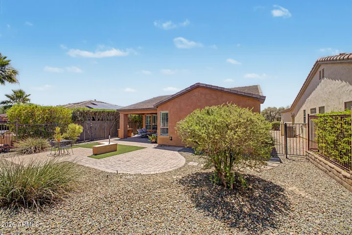 Backyard Oasis