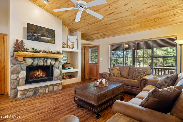 GAS STONE FIREPLACE