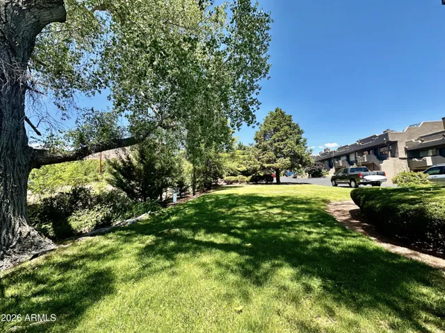 Common area: grassy area by the picnic tables