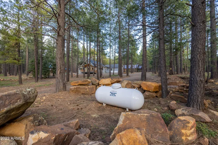 Nicely tucked away by boulders, leased Propane Tank.