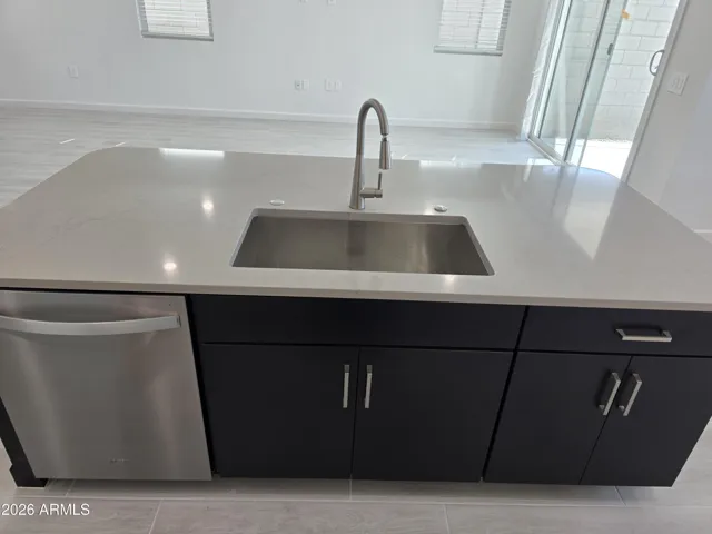 Lot 39 Kitchen Sink, Faucet, Dishwasher