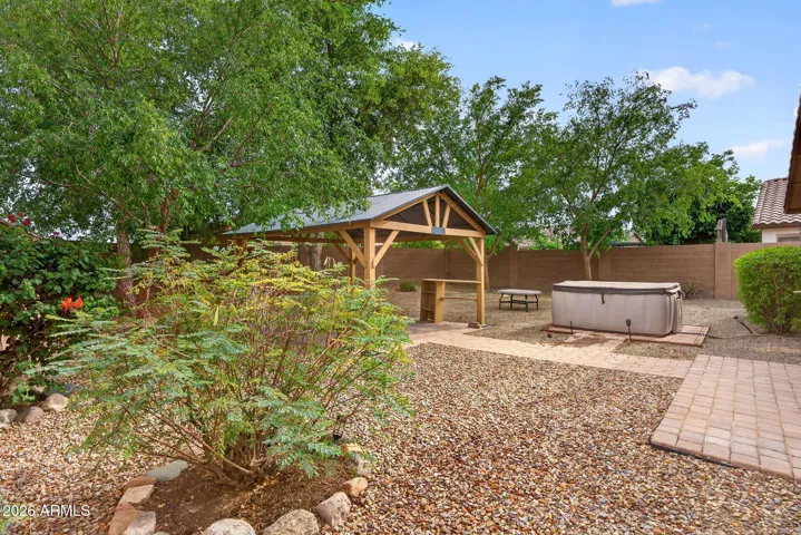 Lush Backyard