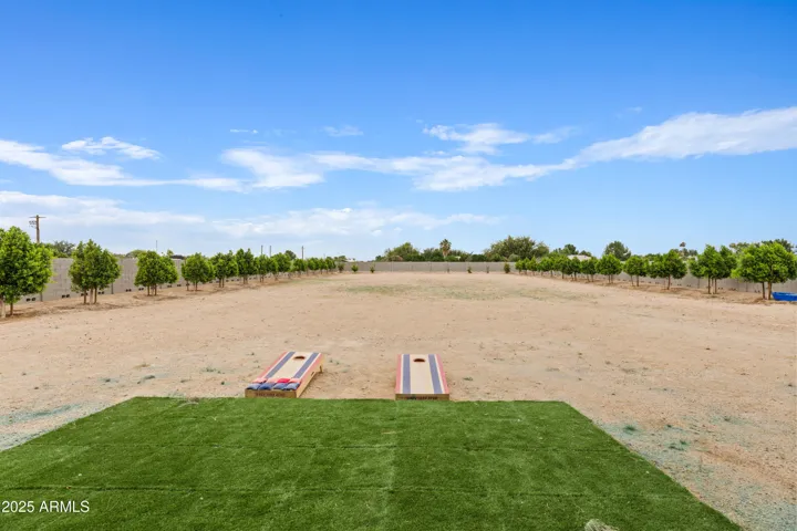 Backyard 1