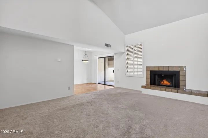 Wood-burning fireplace