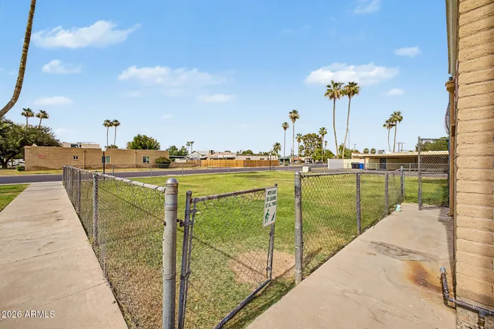 Community park/dog park!