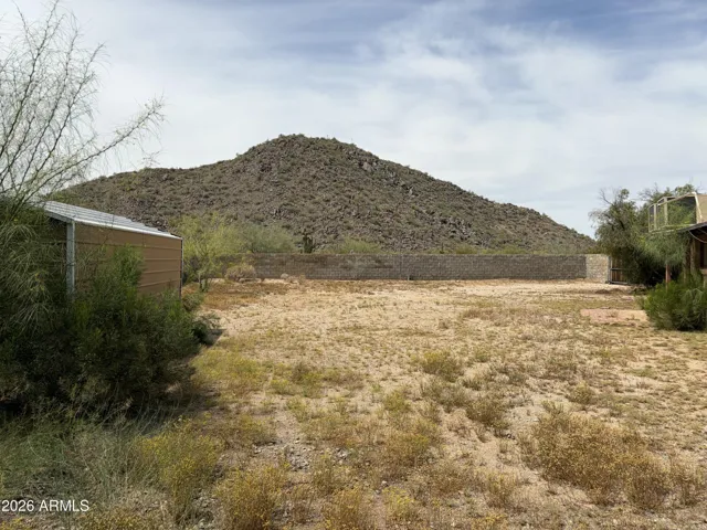 Backyard/view