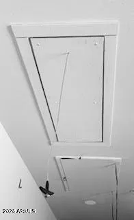 Garage pull-down ladder and lift