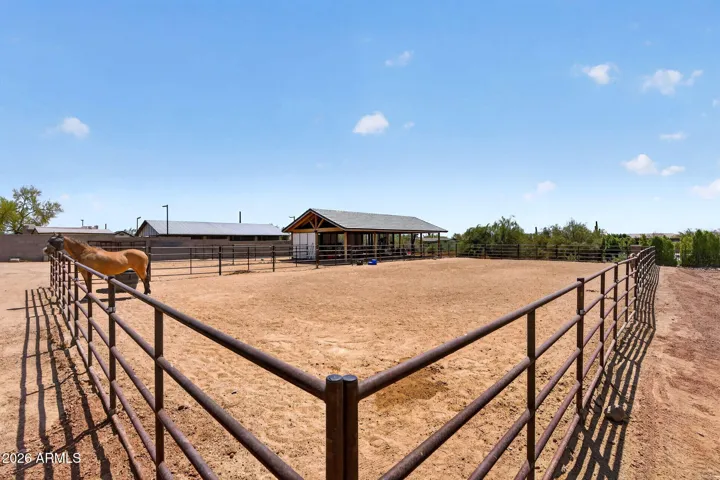 Arena 50x100