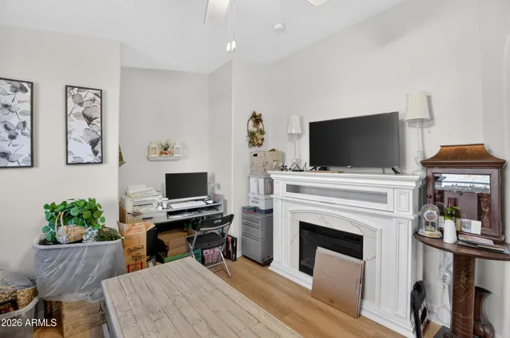 Flex Space / Den / Office (right now set up as a secondary living area with extra storage)