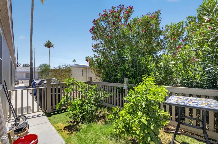 FENCED IN PATIO! Lemon + Orange Tree