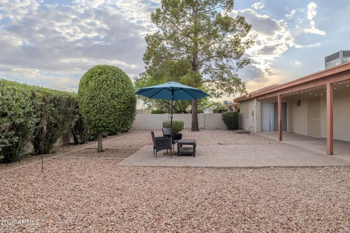 Backyard 2
