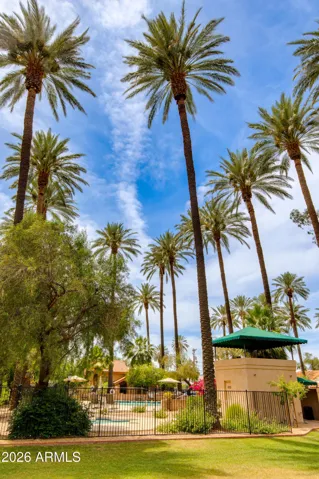 Palm Views