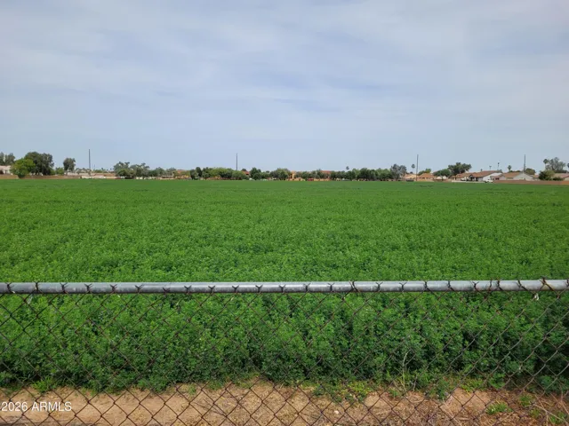 VIEW TO EAST