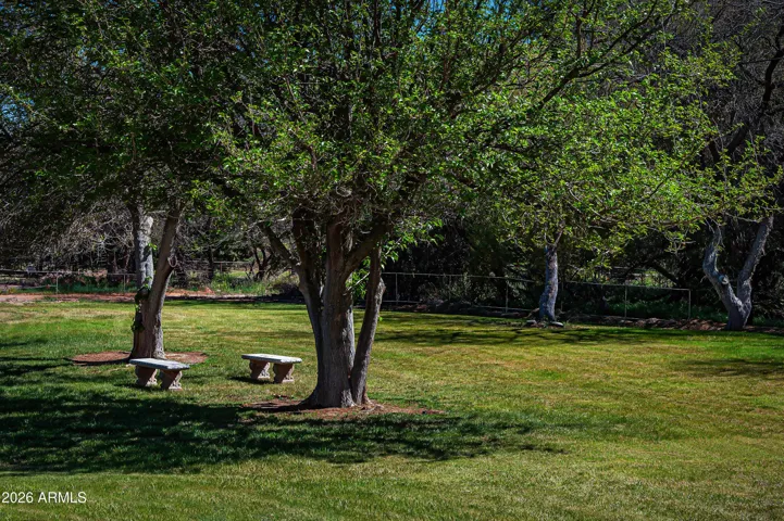 Grassy lawn could become pasture for horses.