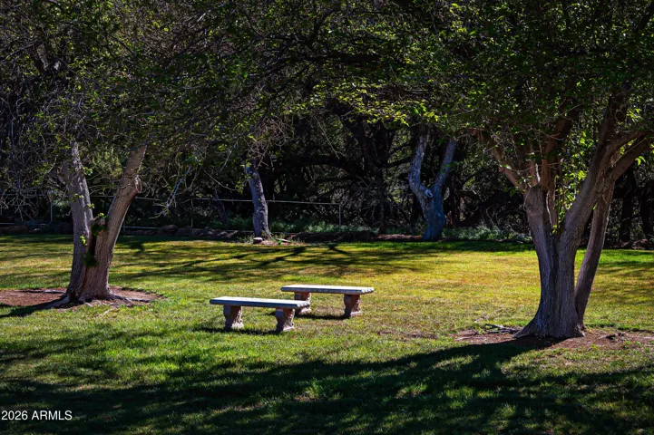 Gorgeous grassy seating or picnic area between fruit trees.
