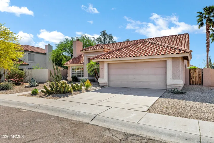 Low maintenance desert landscaping