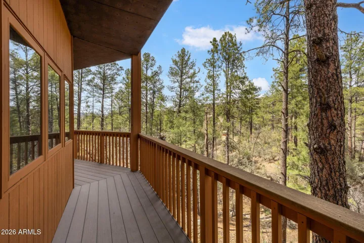 Large Trex deck.