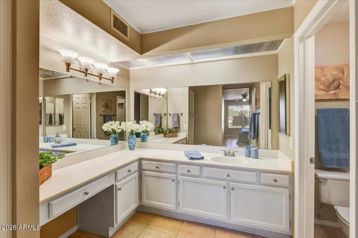 Primary bathroom with white cabinets, sink and vanity with walk-in shower and closet