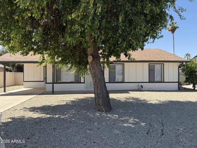 Beautiful large yard with gorgeous shade tree