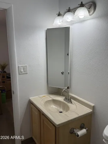 Master bath vanity and medicine cabinet
